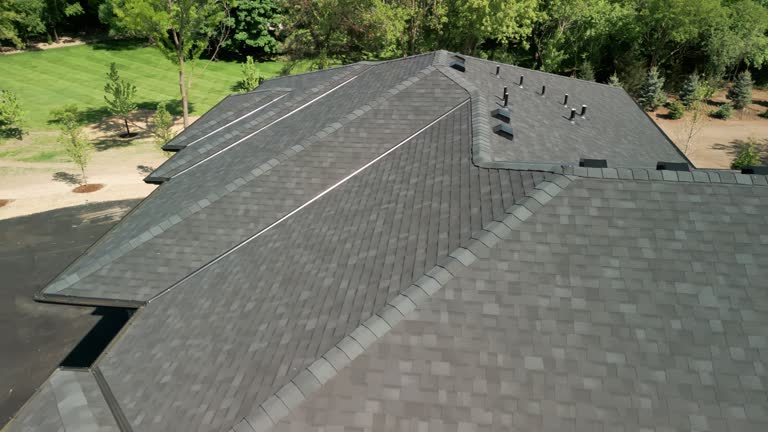 Best Green or Eco-Friendly Roofing Solutions  in , IL